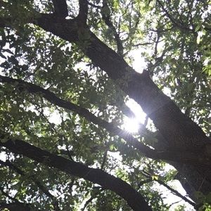 Meet your Posher, Nikkiosborne